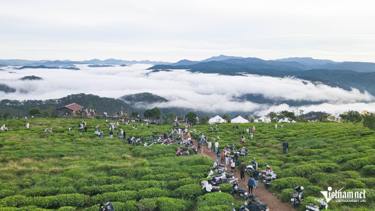 Biển mây ở Đà Lạt. Ảnh: Linh Trang
