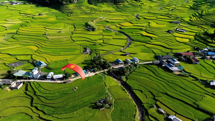 Thời gian ngắm mùa vàng không kéo dài. Ảnh: Mebayluon Paragliding
