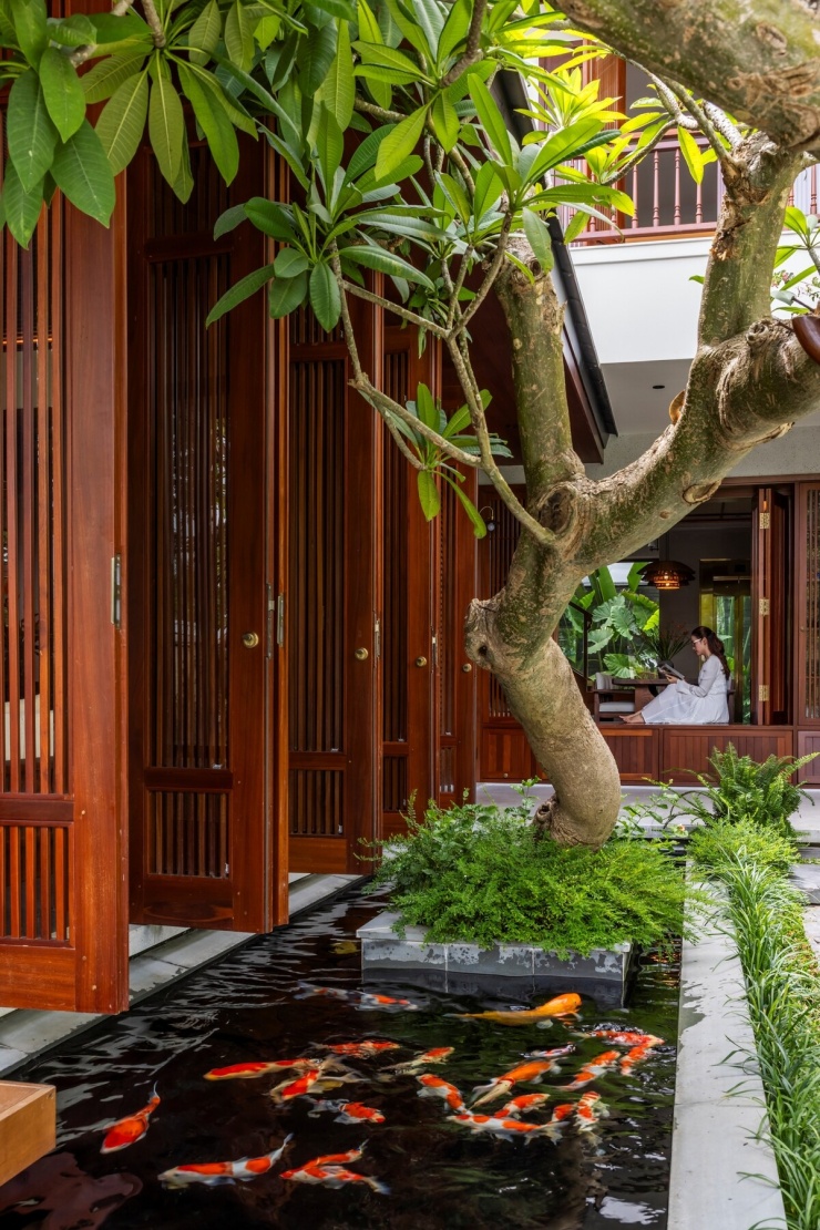 Hồ cá chạy sát khối phòng khách, kết hợp các lớp cây thấp và cây thân gỗ.