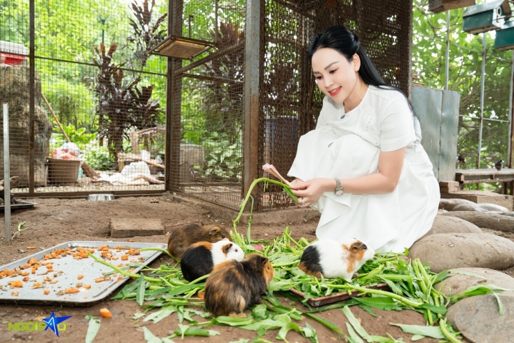 Vẹt biết nói, cá Koi thuần chủng trong nhà vườn 25.000 m2 của Khánh Ly - 6