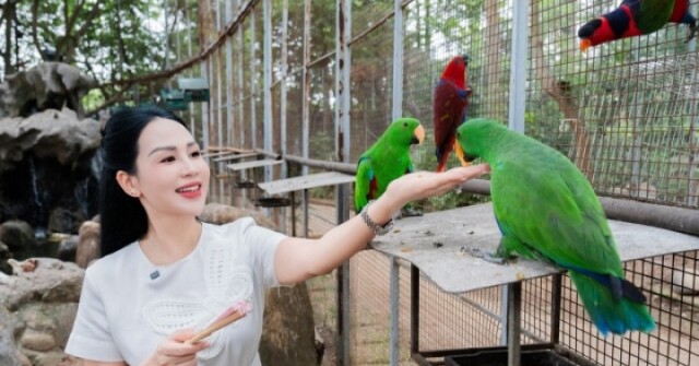 Vẹt biết nói, cá Koi thuần chủng trong nhà vườn 25.000 m2 của Khánh Ly