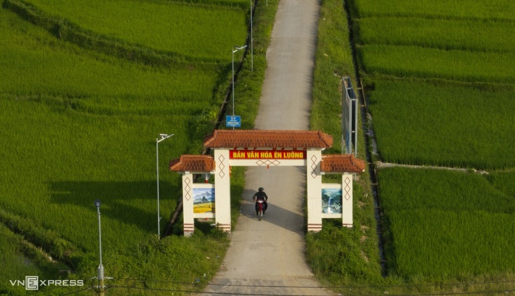 Lúa phủ xanh cánh đồng Mường Than sau lũ dữ - 9