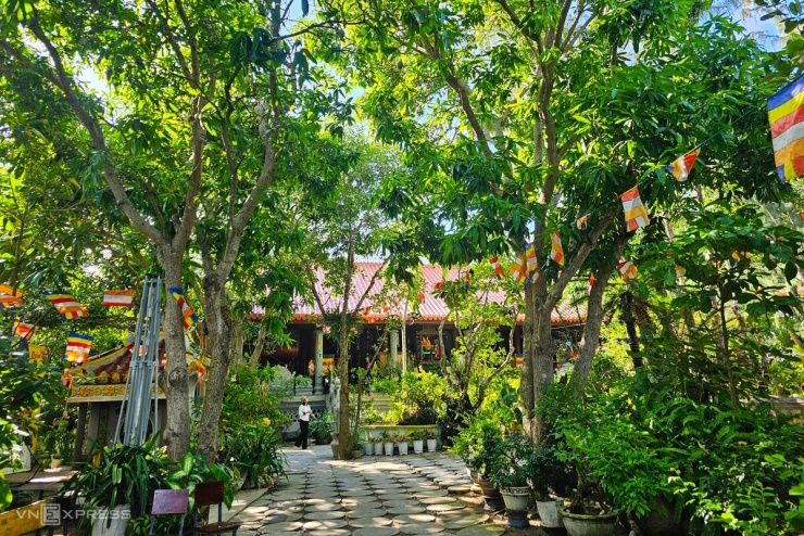 Anh Thảo, du khách Nghệ An, lần đầu đến với chùa, cho biết điểm đặc biệt tại đây là không gian tâm linh kết hợp hài hòa với thiên nhiên, xung quanh rợp bóng mát, "vô cùng dễ chịu" dù đang trong mùa hè oi bức.