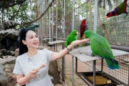 Vẹt biết nói, cá Koi thuần chủng trong nhà vườn 25.000 m2 của Khánh Ly