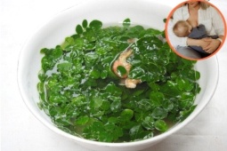 Tin tức sức khỏe - “Siêu thực phẩm” mọc đầy hàng rào được nhiều mẹ sau sinh ít sữa coi như “báu vật”