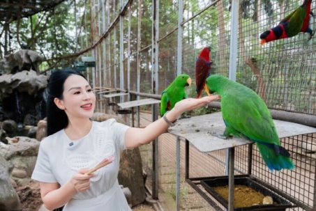 Vẹt biết nói, cá Koi thuần chủng trong nhà vườn 25.000 m2 của Khánh Ly