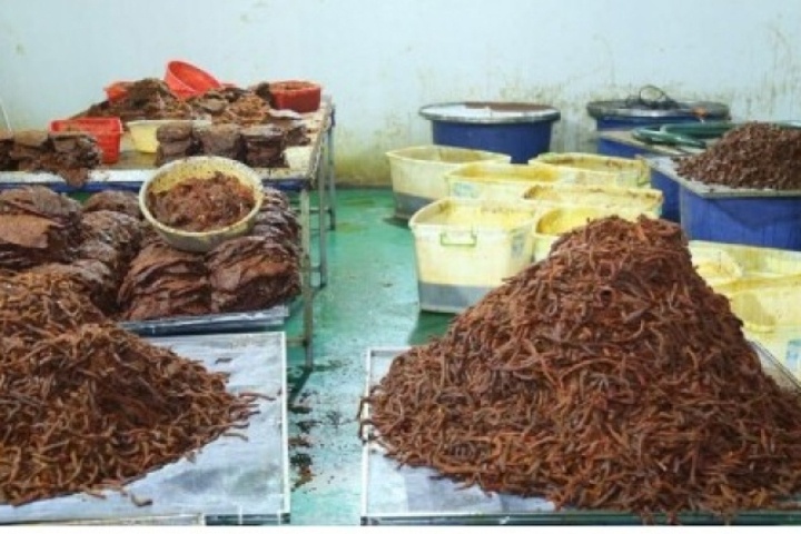 Triệt phá đường dây "phù phép" 130 tấn thịt trâu thành khô bò, bỏ túi 21 tỷ đồng