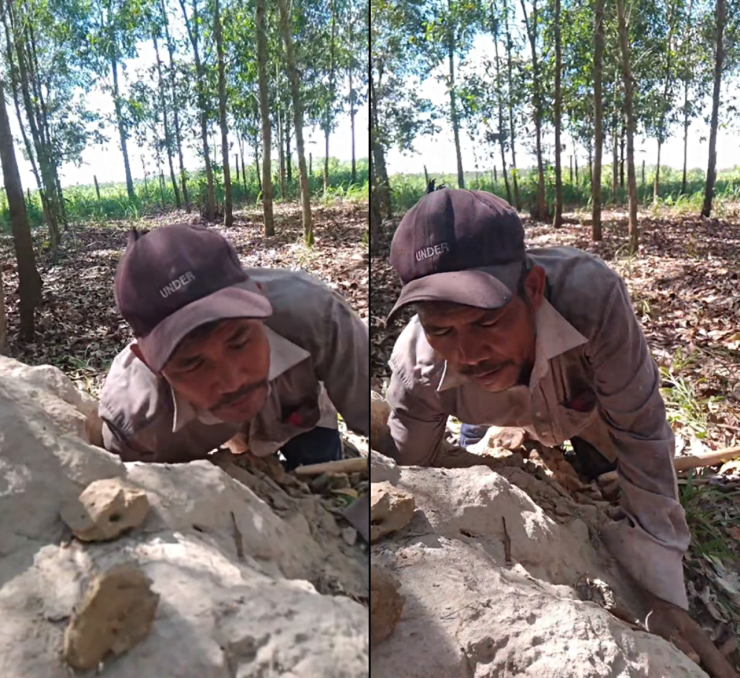 Theo anh Nghi, mùa nắng, mối di chuyển "bánh" mối chúa xuống sâu dưới mặt đất