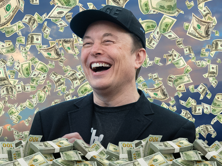 Tỷ phú Elon Musk. Ảnh TMZ