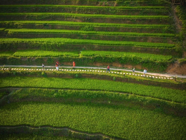 Sống ở Bản Liền mùa lúa chín - 2