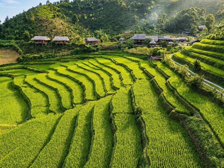 Giữa tháng 8, các ruộng lúa ở Bản Liền phủ màu xanh, lác đác đã có lúa chín. Khoảng 2-3 tuần nữa, lúa sẽ chín vàng. Mùa cao điểm du lịch ở đây từ tháng 8 đến tháng 10 với các trải nghiệm du lịch cộng đồng.