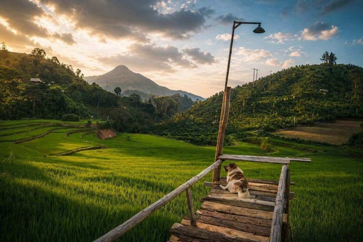 Sống ở Bản Liền mùa lúa chín - 9