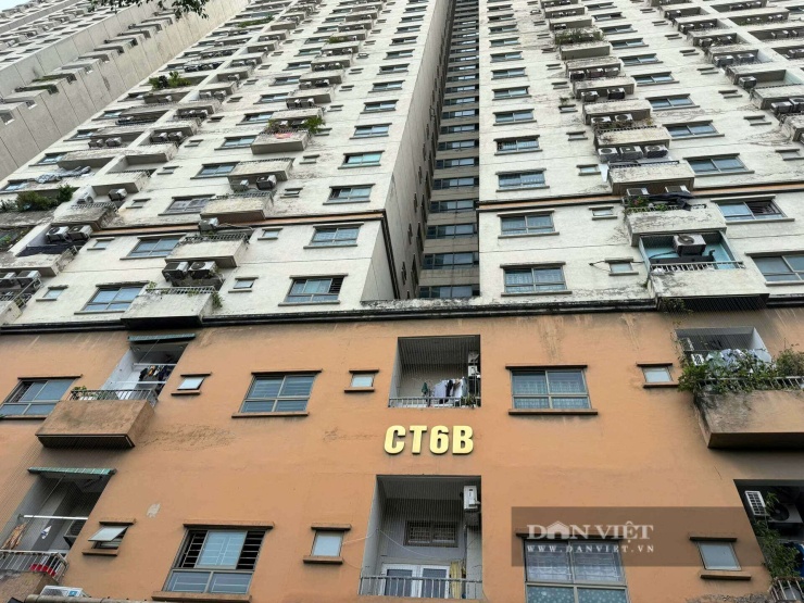 Sau hơn một thập kỷ đưa vào sử dụng, nhiều mảng tường tại CT6 Kiến Hưng phủ rêu, nấm mốc, bong tróc, cho thấy dấu hiệu xuống cấp rõ rệt. Ảnh: Anh Văn