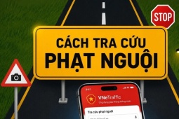 TP NOW: Những cách tra cứu phạt nguội nhanh và hiệu quả nhất