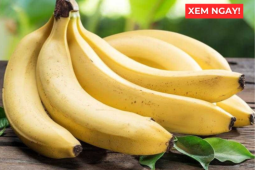 Tin tức sức khỏe - Thời điểm ăn chuối tốt hơn cả thuốc bổ, giúp phổi thông thoáng, ho giảm, đàm loãng và thở dễ hơn