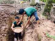 42 hài cốt liệt sĩ được tìm thấy trong vườn dừa ở Đồng Tháp