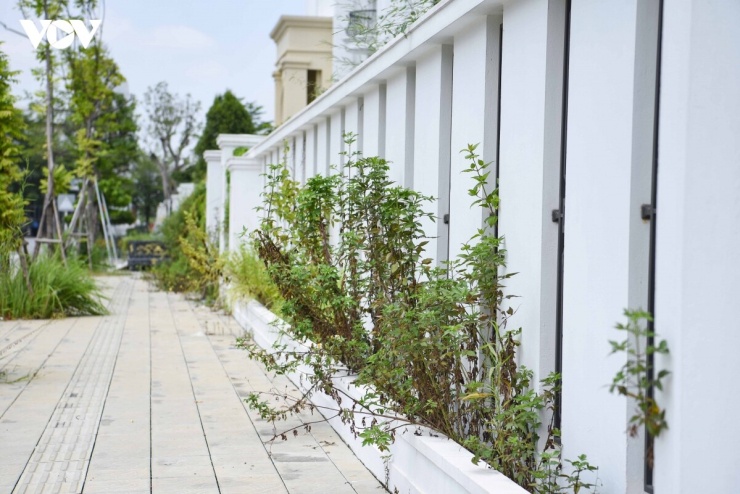 Phố đi bộ nghìn tỷ ở Bắc Ninh vắng hoe, shophouse, biệt thự cỏ mọc um tùm - 10