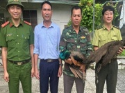 Người dân Nghệ An bắt được 2 cá thể công quý hiếm