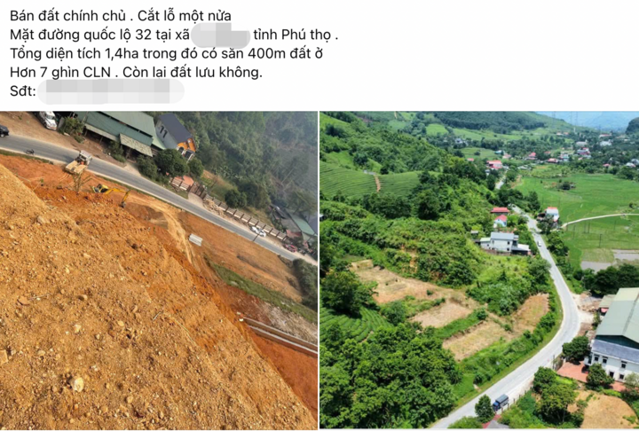Nhiều lô đất trang trại được rao bán cắt lỗ. (Ảnh: Facebook).