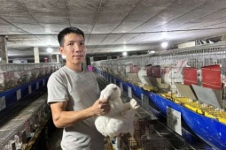 Nông dân Việt Nam xuất sắc 40 năm Đổi mới: Từ 20 con thỏ New Zealand đến cơ ngơi tiền tỷ của một người Lạng Sơn