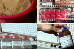 "Nổ" chữa bệnh nan y, chủ cơ sở “Điện Đại Thành - Thiên Y Thánh Mẫu” bị tạm giữ