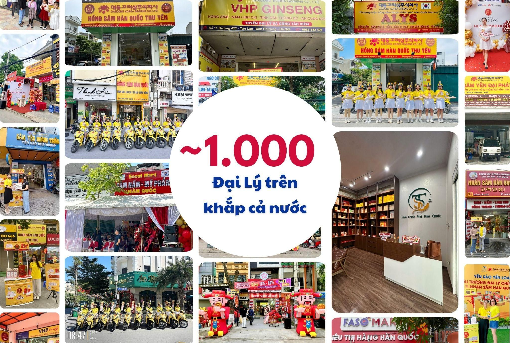 Hơn 15 năm nhập khẩu và phân phối sản phẩm Hàn Quốc là nền tảng để VHPGinseng mở rộng dịch vụ B2B.