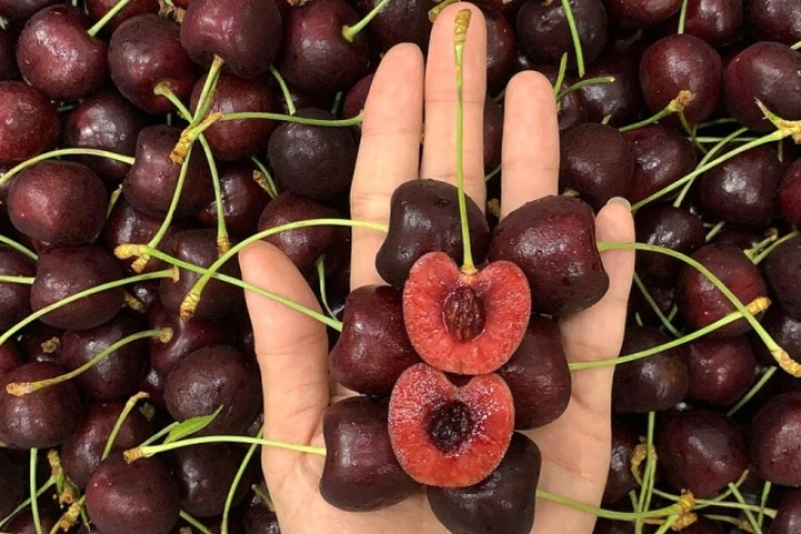 Cherry Mỹ về Việt Nam đắt gần gấp đôi
