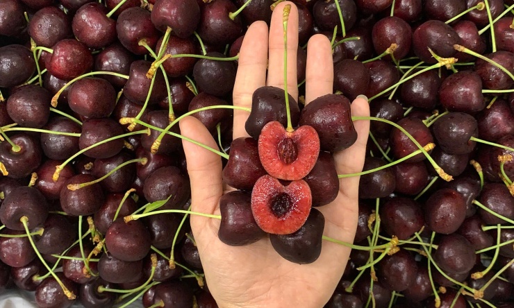 Cherry được bán tại cửa hàng trái cây Farmers Market trên đường Hai Bà Trưng (TP HCM). Ảnh: Thi Hà