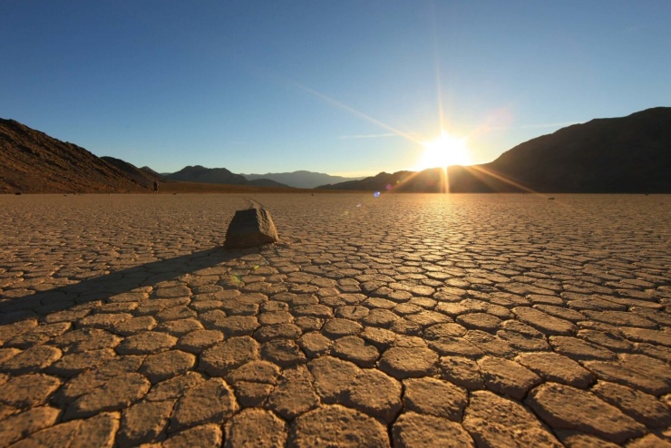 Một con góc thung lũng chết tại Mỹ. Ảnh: Death Valley National Park