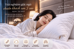 Gối lông vũ tự nhiên có gì đặc biệt mà khách sạn cao cấp ưa chuộng?
