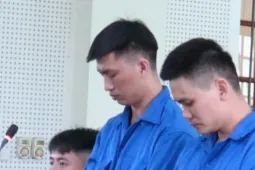 Kịch bản lừa đảo của ‘cặp bài trùng’