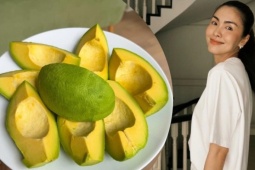 Mẹo bảo quản bơ chín của Tăng Thanh Hà