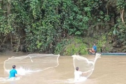 Clip mưu sinh mùa nước nổi trên sông Tà Lèng