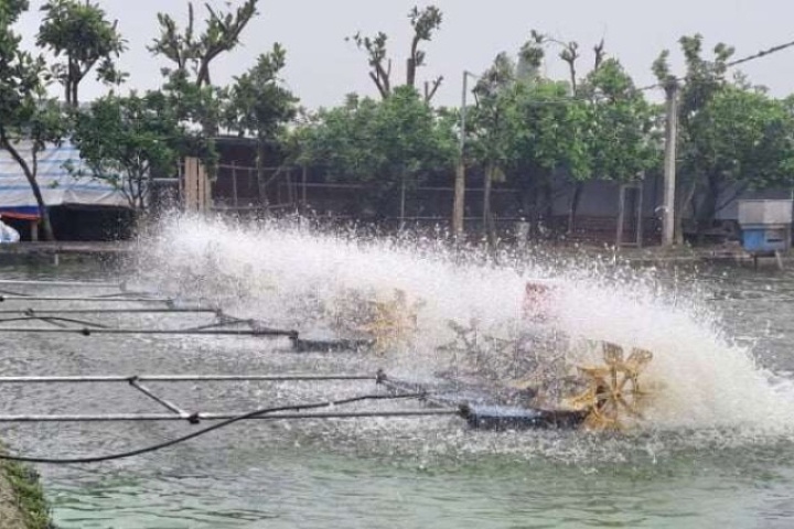 Nuôi cá công nghệ cao toàn con to bự kiểu "nhàn tênh" ở Ninh Bình của một ông "Nông dân Việt Nam xuất sắc"