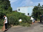 TPHCM: Nhóm bạn trẻ 'đi bão' được Công an cho dọn vệ sinh khu phố