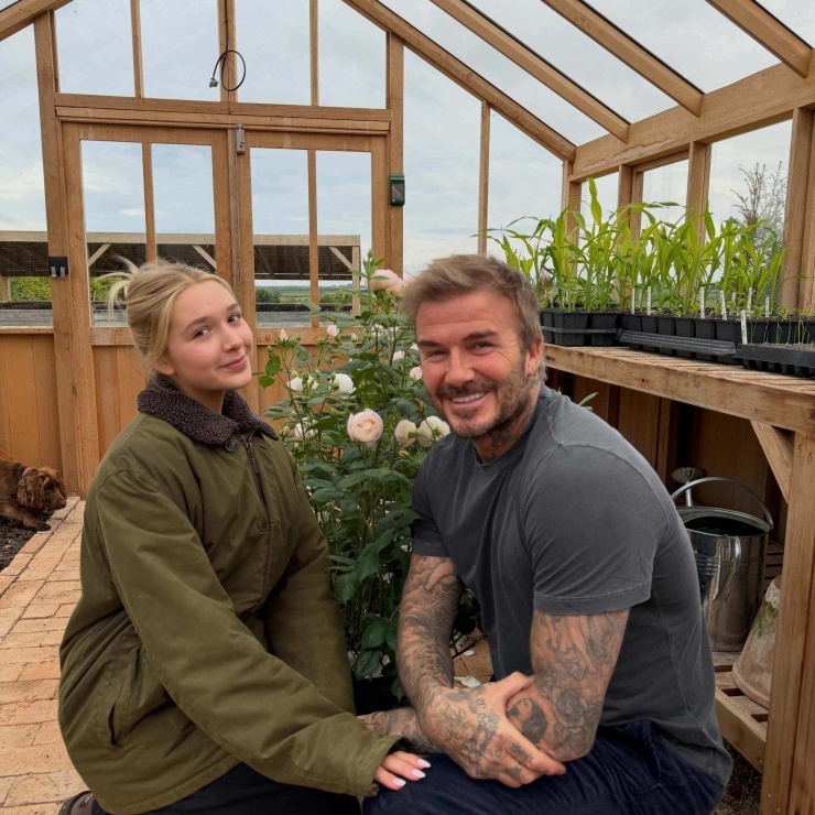 David Beckham và con gái út chụp hình tại vườn ươm nằm trong khuôn viên trang trại. Hai bố con check in với giống hoa hồng được đặt theo tên của cựu danh thủ - Sir David Beckham Rose.