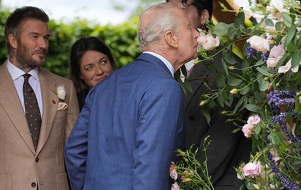 Vua Charles III được chụp ảnh đang ngửi một bông hồng Sir David Beckham tại Triển lãm Hoa Chelsea của Hiệp hội Làm vườn Hoàng gia Anh (RHS) năm 2026 ở London vào tháng 5.