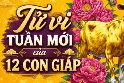 Tử vi tuần mới 12 con giáp 24/8 - 30/8: Dần may mắn, Mùi công việc biến động