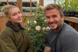 David Beckham đăng ký thương hiệu cho giống hoa hồng mang tên mình