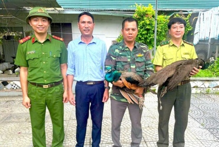 Trên đường đi làm, người đàn ông phát hiện 2 con chim quý hiếm