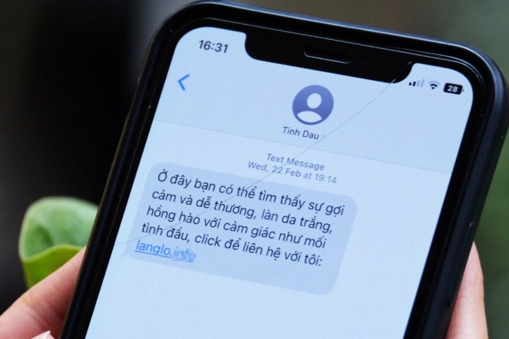 Nhà mạng không thu hồi thuê bao phát tán tin nhắn rác bị phạt đến 100 triệu đồng. Ảnh: Trọng Đạt