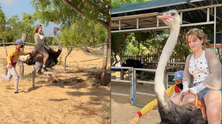 Nhiều dân mạng mong muốn được thử một lần để xem tốc độ “xé gió” là như nào. (Ảnh chụp màn hình)