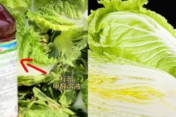 Bê bối cải thảo nhúng hóa chất gây ung thư chấn động Trung Quốc
