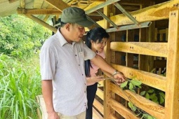 Dân một xã ở Hà Tĩnh bỏ nuôi lợn, nuôi bò chuyển sang nuôi hươu sao, bán con giống, bán lộc nhung mà giàu lên