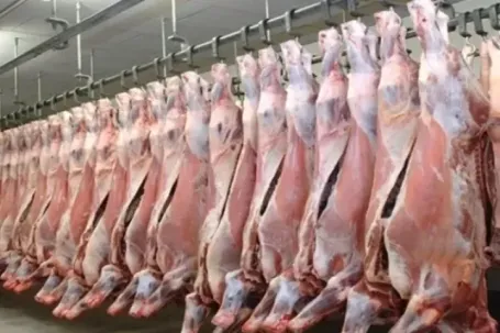 Hơn 100.000 tấn thịt Ấn Độ vào Việt Nam, phần lớn là thịt trâu đông lạnh