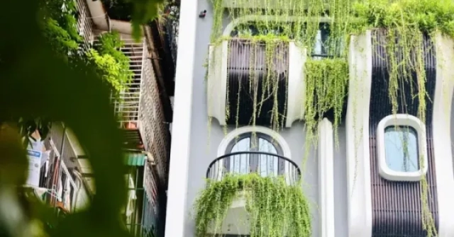 Cận cảnh khu đất vàng của Bảo tàng Lịch sử quốc gia bị con trai nguyên giám đốc lấn chiếm