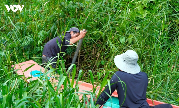 Khi đặt trúm, thợ rừng luôn gài sâu miệng trúm xuống nước và chừa đuôi trúm nổi lên khỏi mặt nước khoảng nửa gang tay để lươn không bị ngộp.