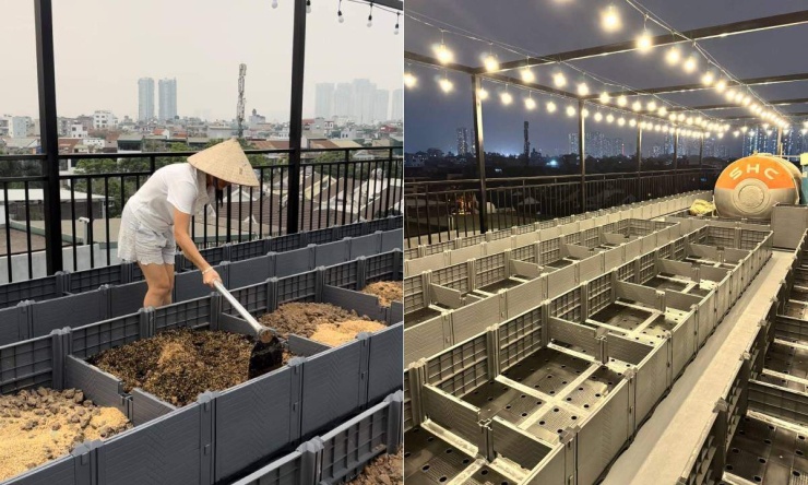 Vợ chồng Trang đầu tư gần 200 triệu đồng, bao gồm 140 triệu cho hệ thống giàn khung sắt, 33 triệu cho hệ thống chậu nhựa lắp ghép và 20 triệu cho đất, phân bón. Ngoài ra, họ cũng tranh thủ đi lấy thêm đất và phân trâu ngoài đồng để tiết kiệm chi phí.