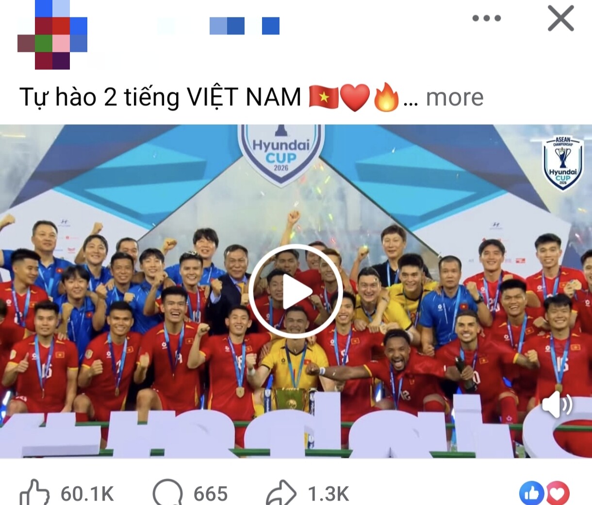 "Tự hào hai tiếng Việt Nam".