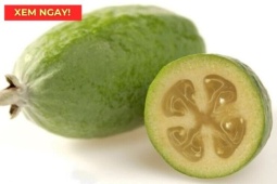 Tin tức sức khỏe - “Siêu trái cây” chứa hàm lượng vitamin C cao vượt trội, rất tốt cho hô hấp!